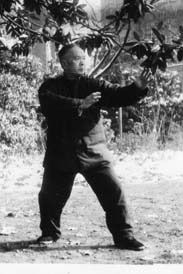 �ڗ��]�V�t